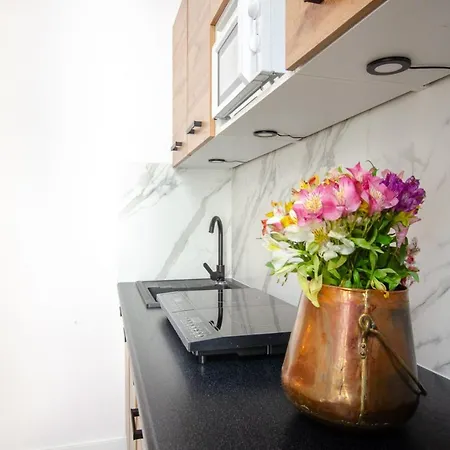 Apartament Center - Gdanska 44 Łódź